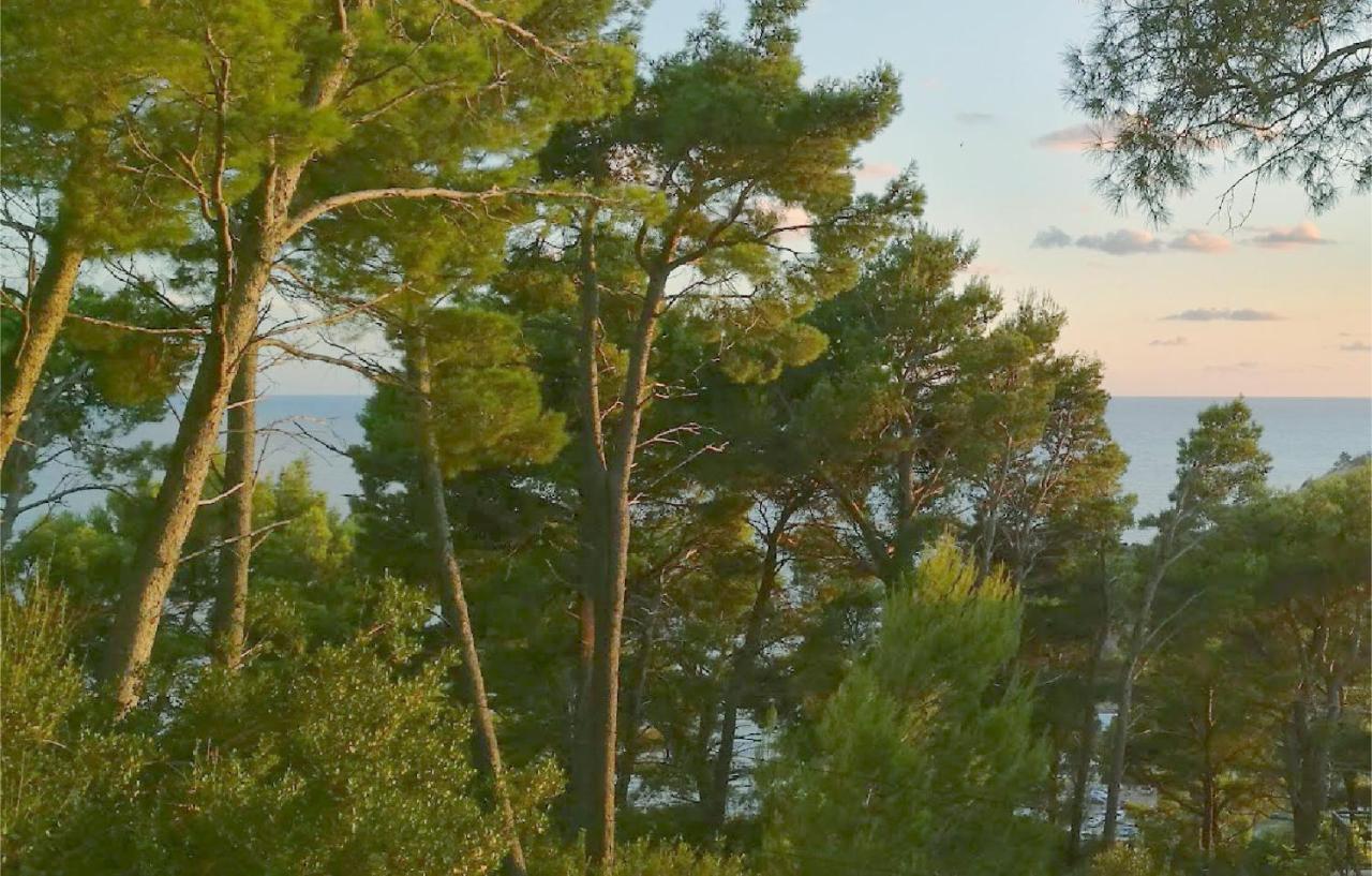 Villa House In The Pines Sutomore Exterior foto